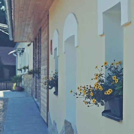 Guest house Vincze Vadasz Vendeghaz Hotto