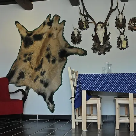 Гостевой дом Vincze Vadasz Vendeghaz