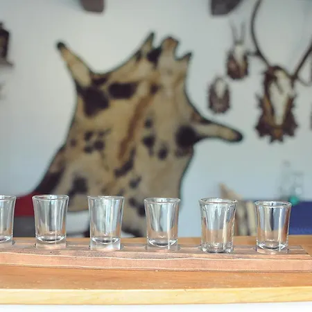 Vincze Vadasz Vendeghaz