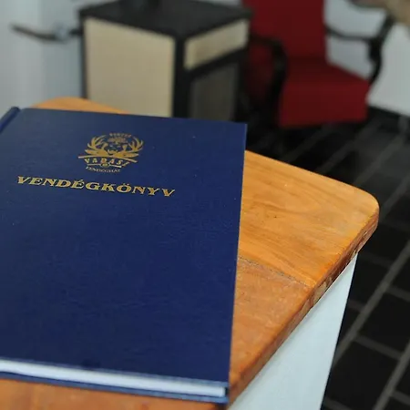 Vincze Vadasz Vendeghaz Гостевой дом Hotto