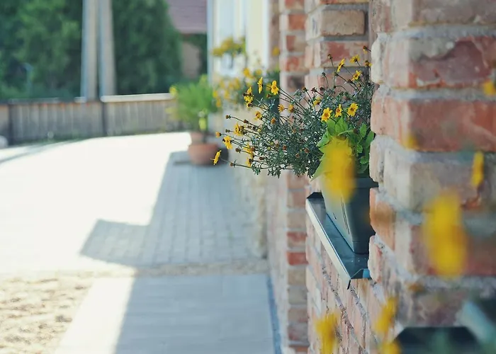 Pensionat Vincze Vadasz Vendeghaz Hotto