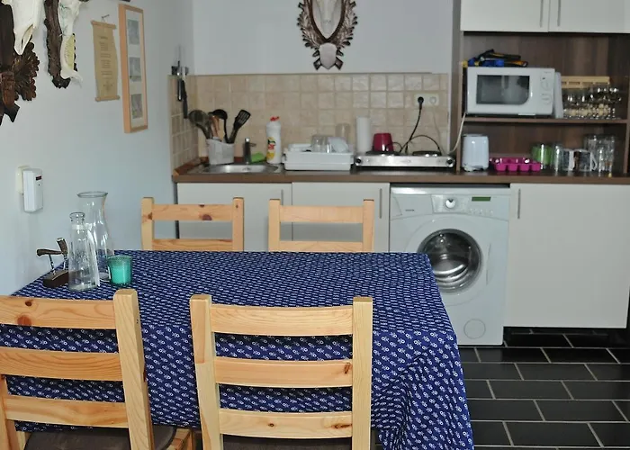 Pensionat Vincze Vadasz Vendeghaz *