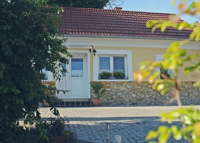 Pensionat Vincze Vadasz Vendeghaz