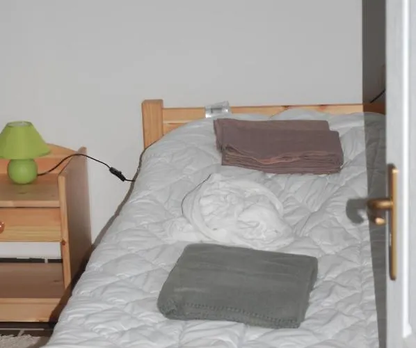 Pensionat Vincze Vadasz Vendeghaz *