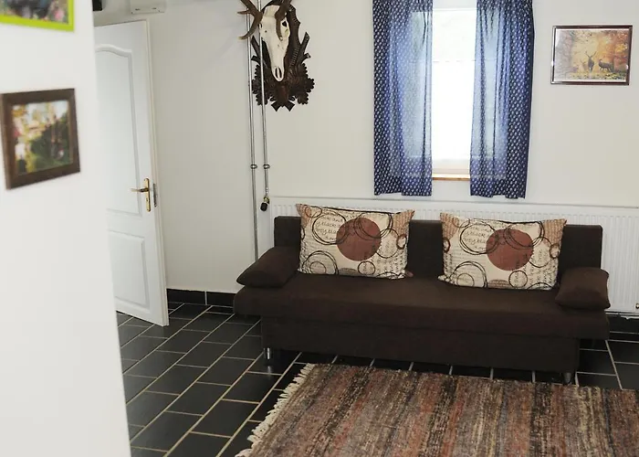 Vincze Vadasz Vendeghaz *