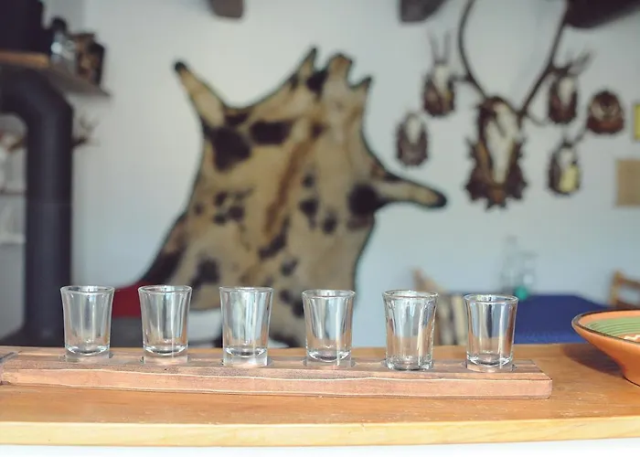 Vincze Vadasz Vendeghaz