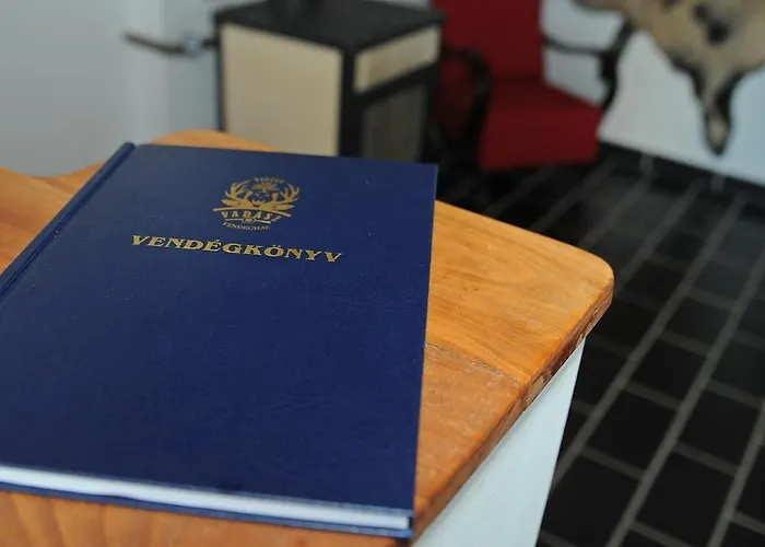Vincze Vadasz Vendeghaz Pensionat Hotto